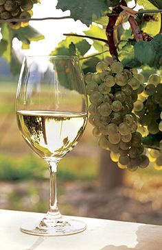Beringer Brothers Bourbon Barrel Hard Chardonnay 