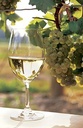 Beringer Brothers Bourbon Barrel Hard Chardonnay 