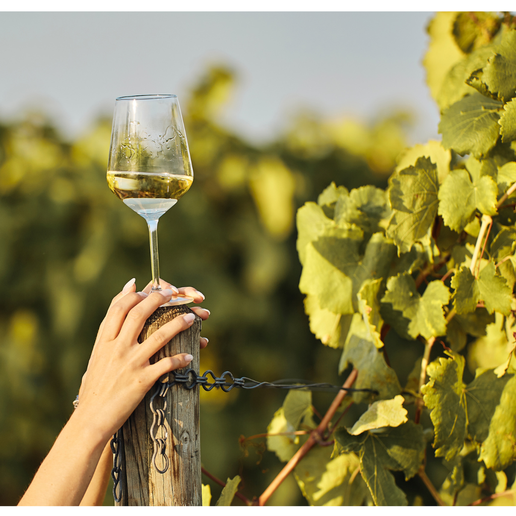 Barton &amp; Guestier Hautes Vignes  Aop Pouilly-Fuissé 