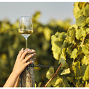 Barton &amp; Guestier Hautes Vignes  Aop Pouilly-Fuissé 
