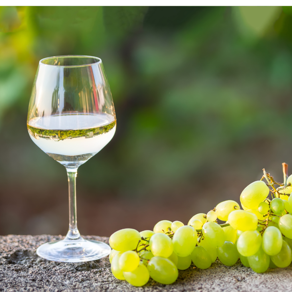 Barton &amp; Guestier Les Petites Parcelles  Aop Vouvray 