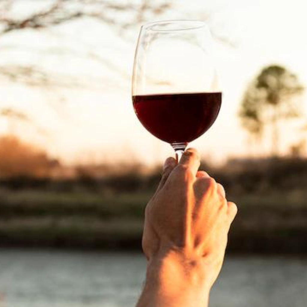 Barton &amp; Guestier Cuvee Speciale Vue Rouge Sweet